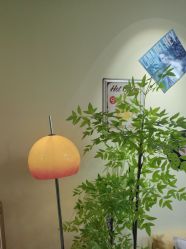 -变美丽半永久纹眉连锁·机器野生眉•洗眉