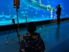 -烟台海昌鲸鲨海洋公园