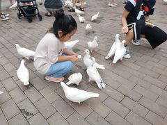 -王府井奥莱临潼小镇(临潼店)
