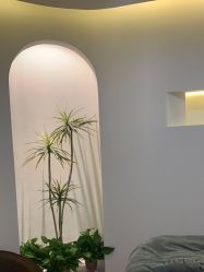 -VE专注问题肌·赛诺龙&科学美肤中心