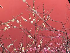 -钱王祠