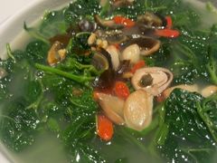 -新兴·金羊座·粤菜点心(乐峰店)