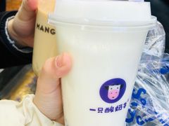 -一只酸奶牛(八一路店)