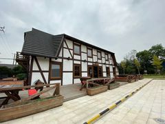 -金山农民画村-枫泾波兰倒置屋