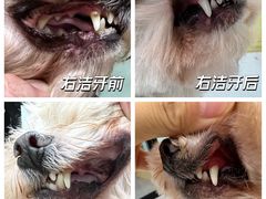 -中农大我爱我爱动物医院·核磁CT·猫病·24小时夜诊中心(石佛营店)