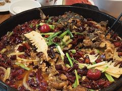 -老板恋上鱼(恒隆广场店)