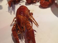 -丹虾|文和友小龙虾·烙锅(陕西路旗舰店)