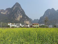 -明仕田园