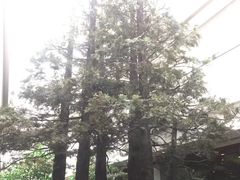 -中国湿地博物馆