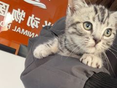 -瑞派福兴宠物医院犬猫全科·骨科·中西医结合(河东店)