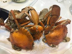 -鑫悦楼煎蟹·16年海鲜大排档