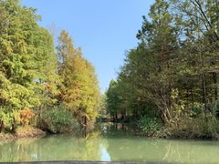 -西溪国家湿地公园