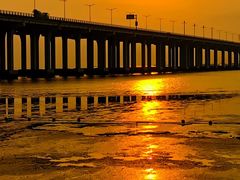 -宝安西湾红树林湿地公园