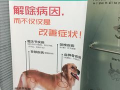 -瑞派长江宠物医院·猫科·外科·24小时夜护(谊城公寓分院)