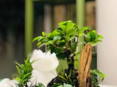 -御仙都北京菜馆·烤鸭店(双井店)