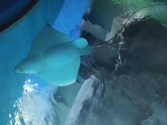 -常州海昌海洋探索馆