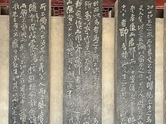 -碑林公园
