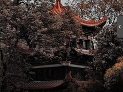 -成都市文殊院