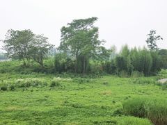 -良渚古城遗址公园