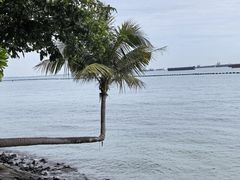 -巴拉湾海滩