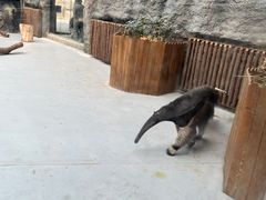 -武汉动物园