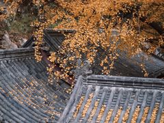 -竹子庵公园