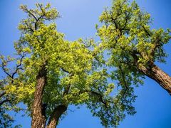 -白沙门生态公园