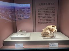 -咸宁市博物馆