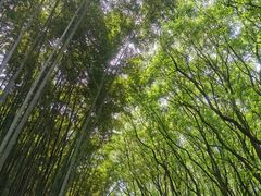 -同里国家湿地公园