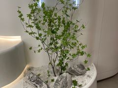 -喜茶(上海兴业太古汇店)