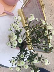 -万阡国际专业祛斑·祛痣·祛疤连锁