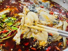 -渔香岛美蛙鱼头火锅(威清路店)
