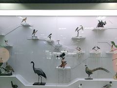 -国家自然博物馆