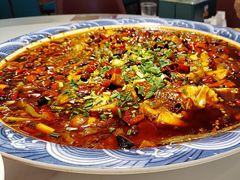 -新概念来凤鱼(璧山店)