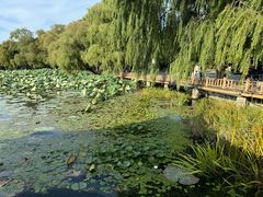 -长春市南湖公园