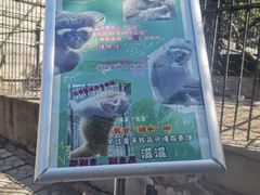 -保定市动物园