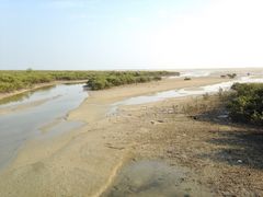 -北海金海湾红树林生态旅游区