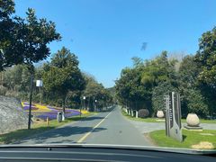 -天目湖涵田半山温泉