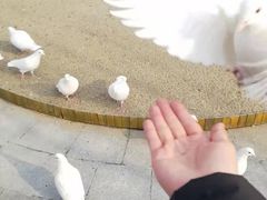 -南宫五洲植物乐园