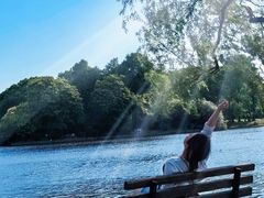 -上海共青森林公园