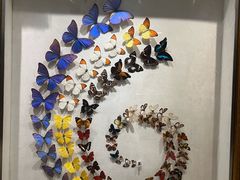 -广州白天鹅宾馆