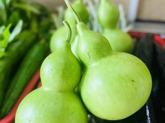 -雅和生态渔庄·宜城锅巴饭(龙灵山公园店)