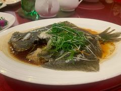 清蒸多宝鱼-荔枝楼酒家(员村东璟店)
