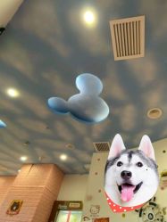 -爱玩爱游亲子母婴(旭辉广场店)