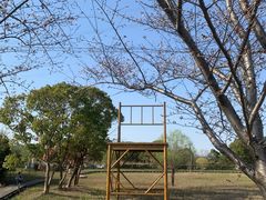 -长田漾湿地公园