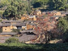 -杨家堂村