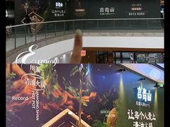 -万达广场(泰安泰山店)
