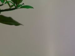 -广州柏悦酒店·悦吧·顶楼露天酒吧