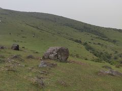 -大姆山草场