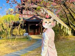 -堤角公园